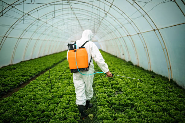 Best Affordable Pest Control Services  in Canyonville, OR
