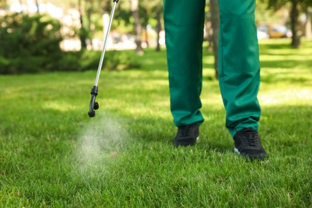 Best Termite Control Services  in Canyonville, OR