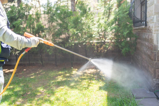 Best Wasp Removal Services  in Canyonville, OR