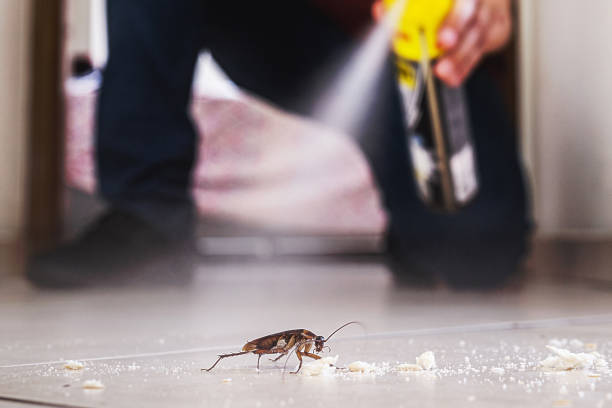 Best Residential Pest Control  in Canyonville, OR