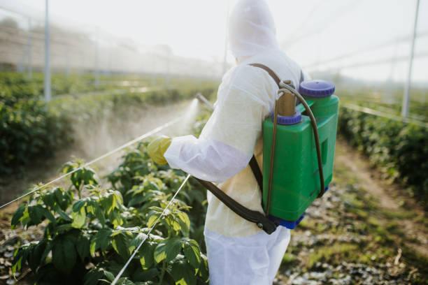 Best Insect Control  in Canyonville, OR